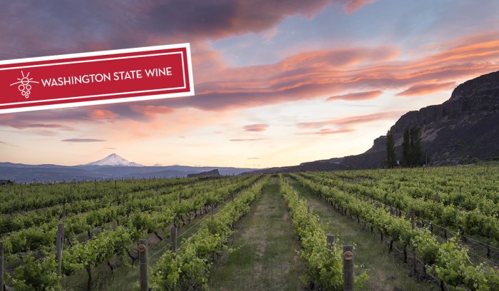 wsw_logo_image_og_sharing