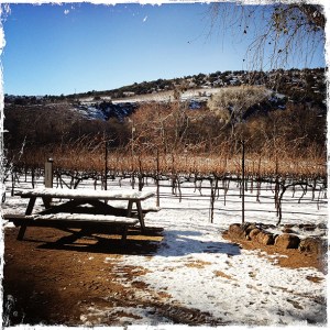 Page-Springs-Jan-2015